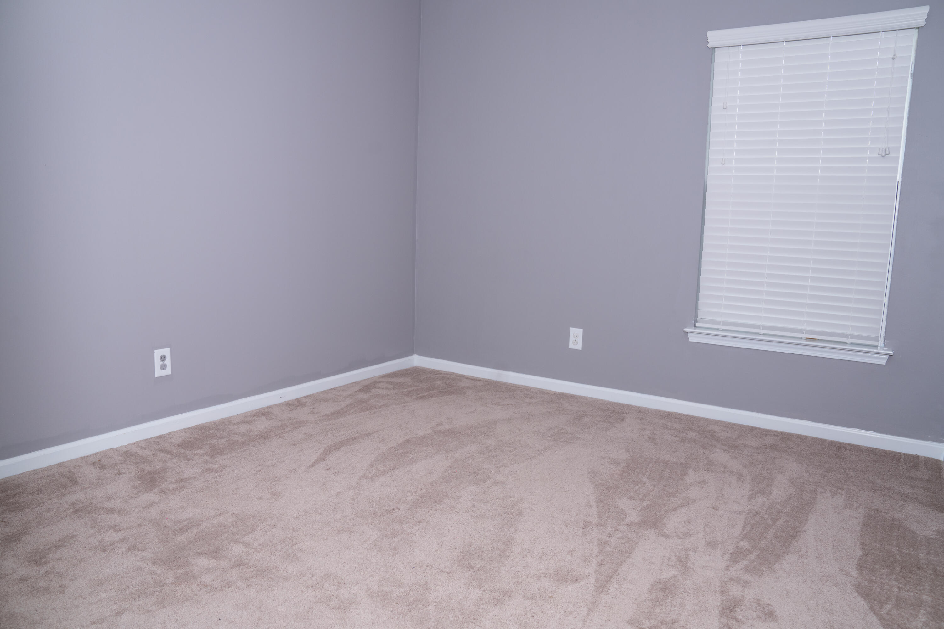 307 Evesham Avenue Moncks Corner, SC 29461 - Photo 17 of 30 DSC09961