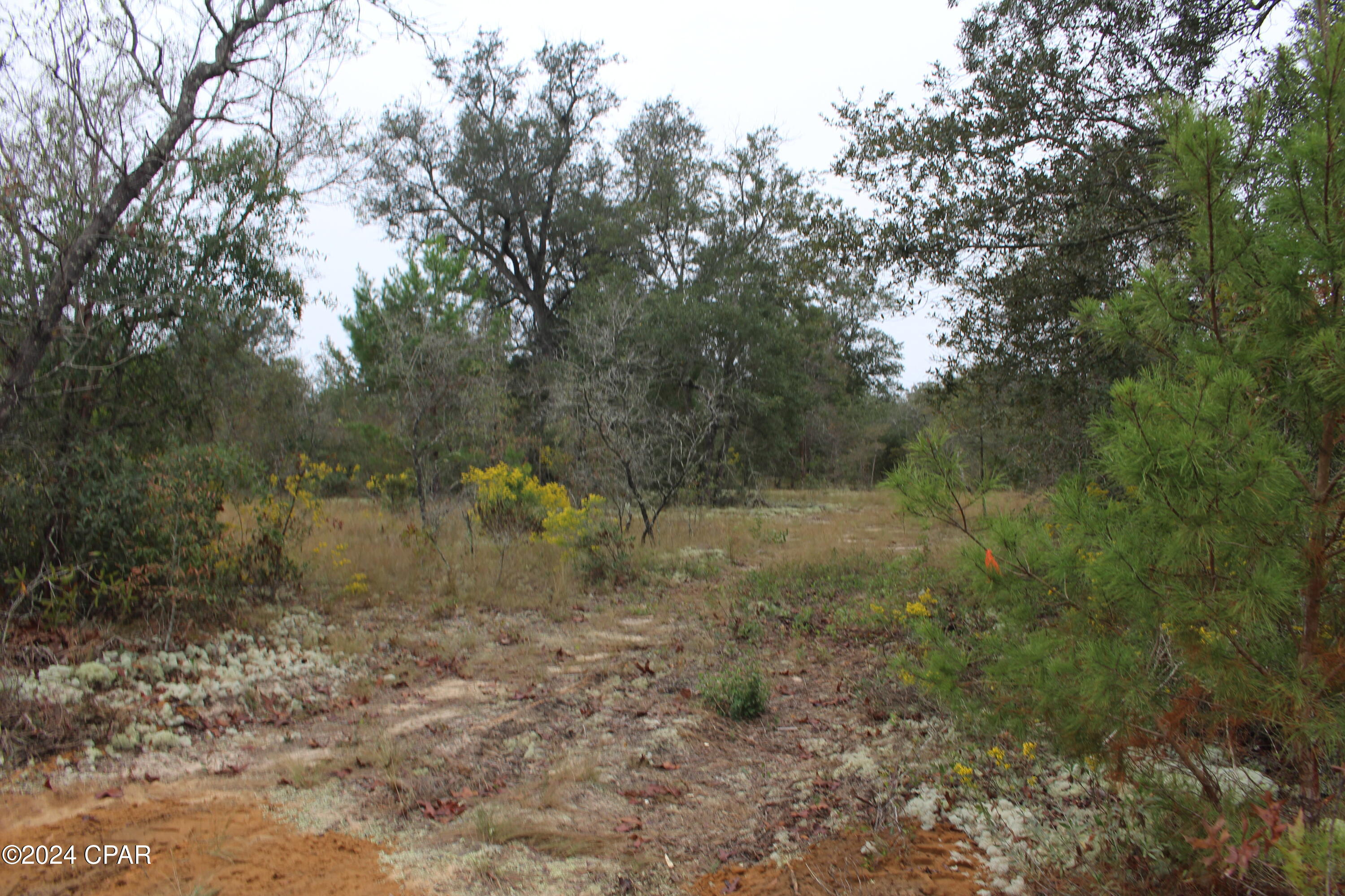0 South Silver Lake Road Youngstown, FL 32466 - Photo 9 of 16 Gallery Image 9