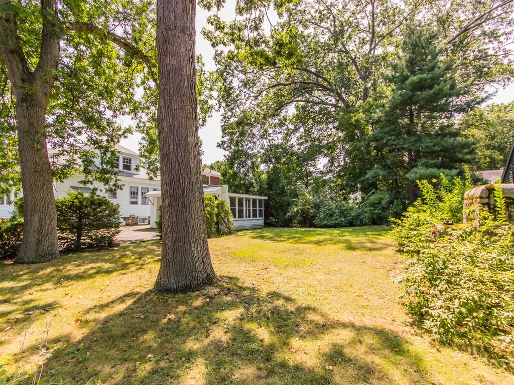 161 Parmenter Road Newton, MA 02465 - Photo 19 of 22 Gallery Image 19