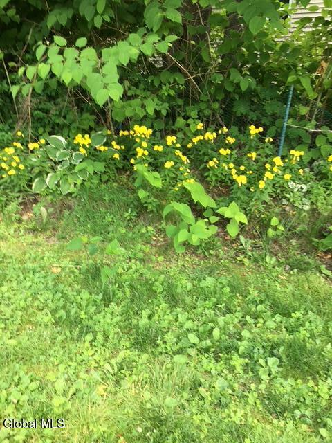 109 Joyce Road Moriah, NY 12956 - Photo 15 of 50 IMG_1680