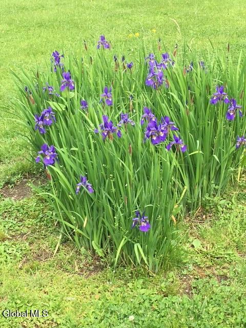 109 Joyce Road Moriah, NY 12956 - Photo 18 of 50 IMG_1677