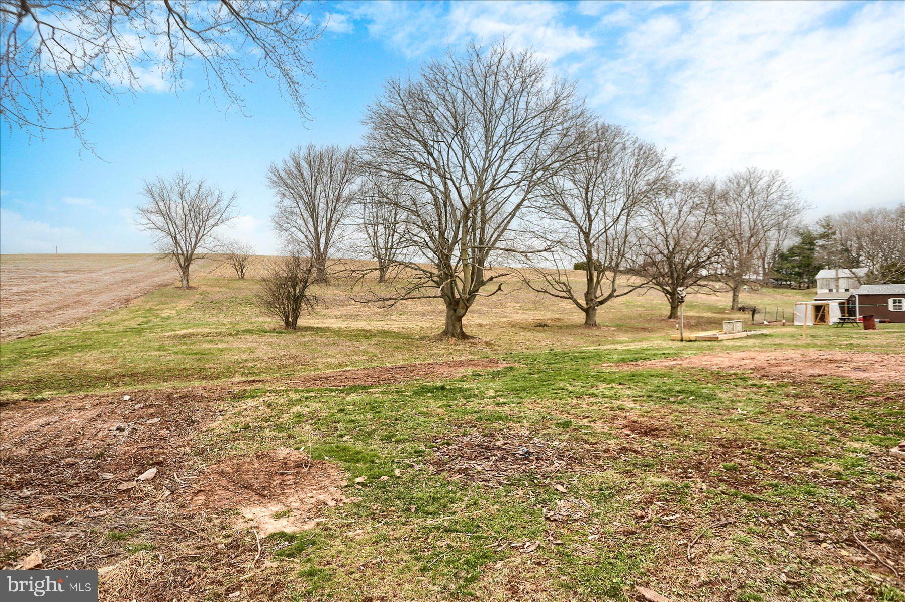 1339 Berrysburg Road Millersburg, PA 17061 - Photo 37 of 42 a view of yard with ocean