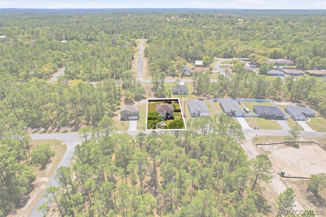2934 West Higgins Place Dunnellon, FL 34433 - Photo 45 of 46