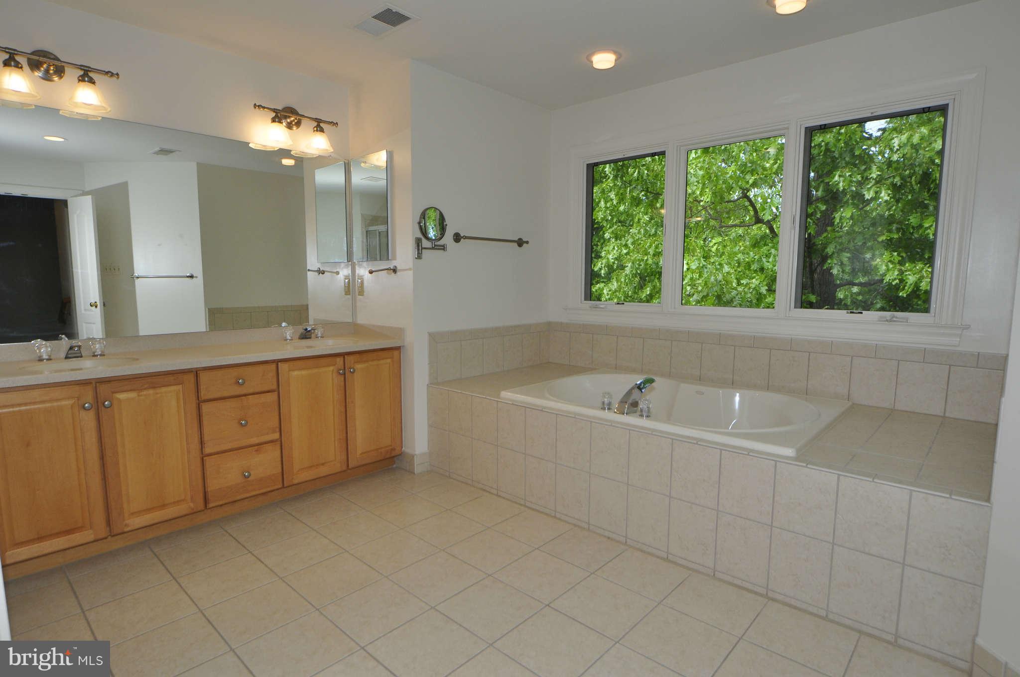 11090 Whitstone Place Reston, VA 20194 - Photo 20 of 30 Bath (Master)
