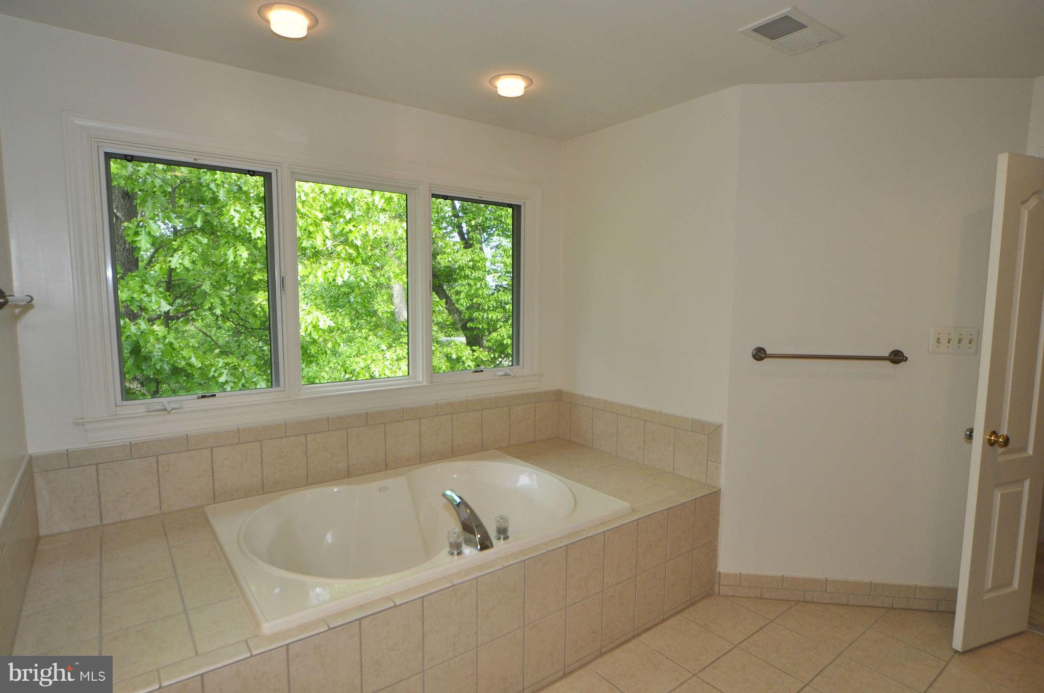 11090 Whitstone Place Reston, VA 20194 - Photo 21 of 30 Bath (Master)