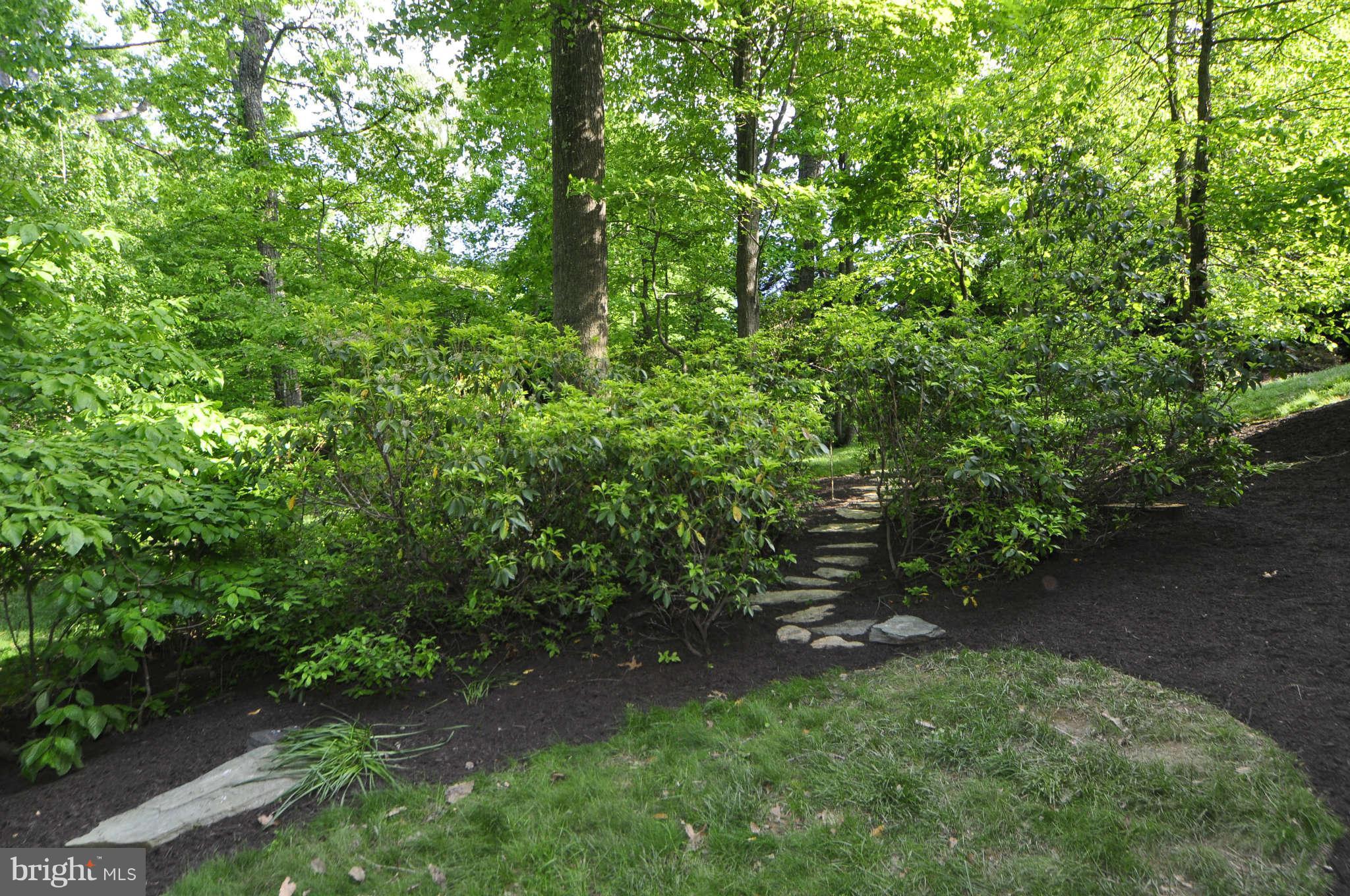11090 Whitstone Place Reston, VA 20194 - Photo 23 of 30 Exterior (Rear)