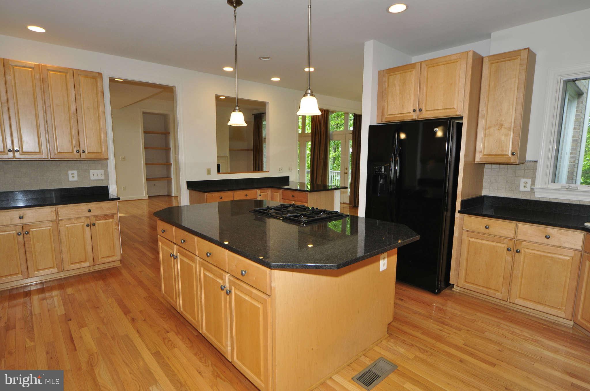 11090 Whitstone Place Reston, VA 20194 - Photo 5 of 30 Kitchen