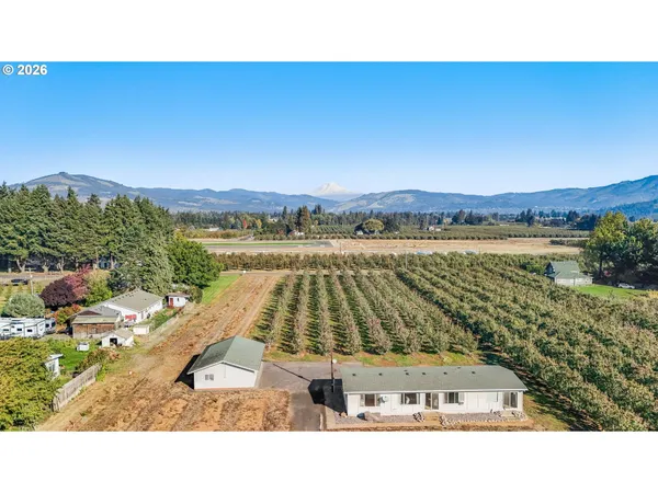 a view of a backyard with a garden and mountain view