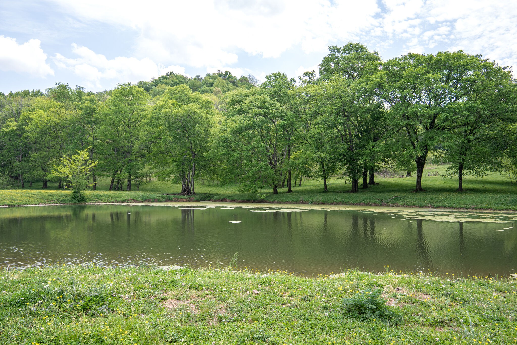 1845 Terrapin Branch Road Mount Pleasant, TN 38474 - Photo 1 of 39 Gallery Image 1