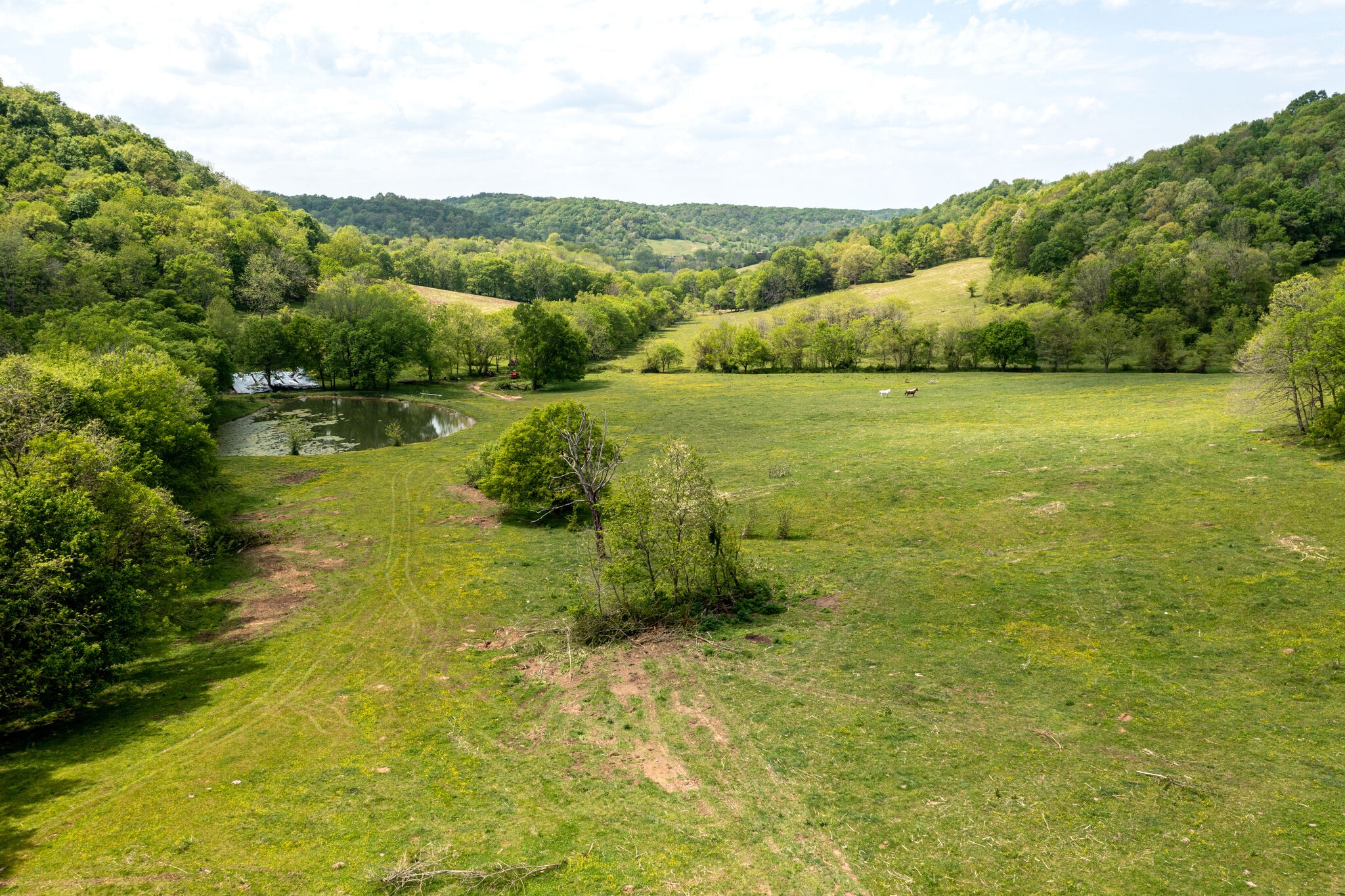 1845 Terrapin Branch Road Mount Pleasant, TN 38474 - Photo 21 of 39 Gallery Image 21