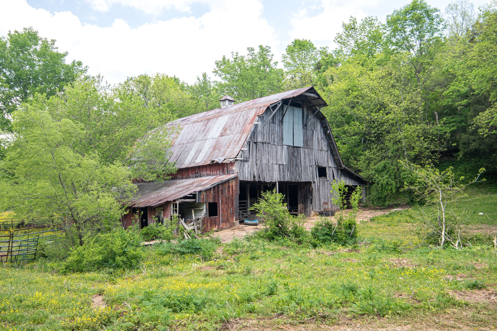 1845 Terrapin Branch Road Mount Pleasant, TN 38474 - Photo 35 of 39 Gallery Image 35