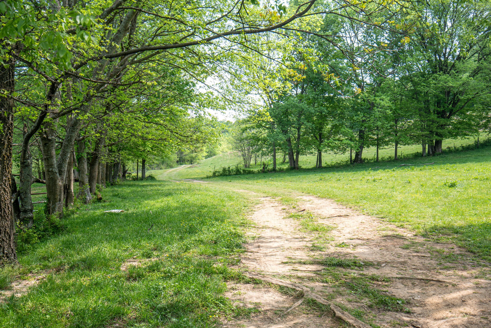 1845 Terrapin Branch Road Mount Pleasant, TN 38474 - Photo 8 of 39 Gallery Image 8