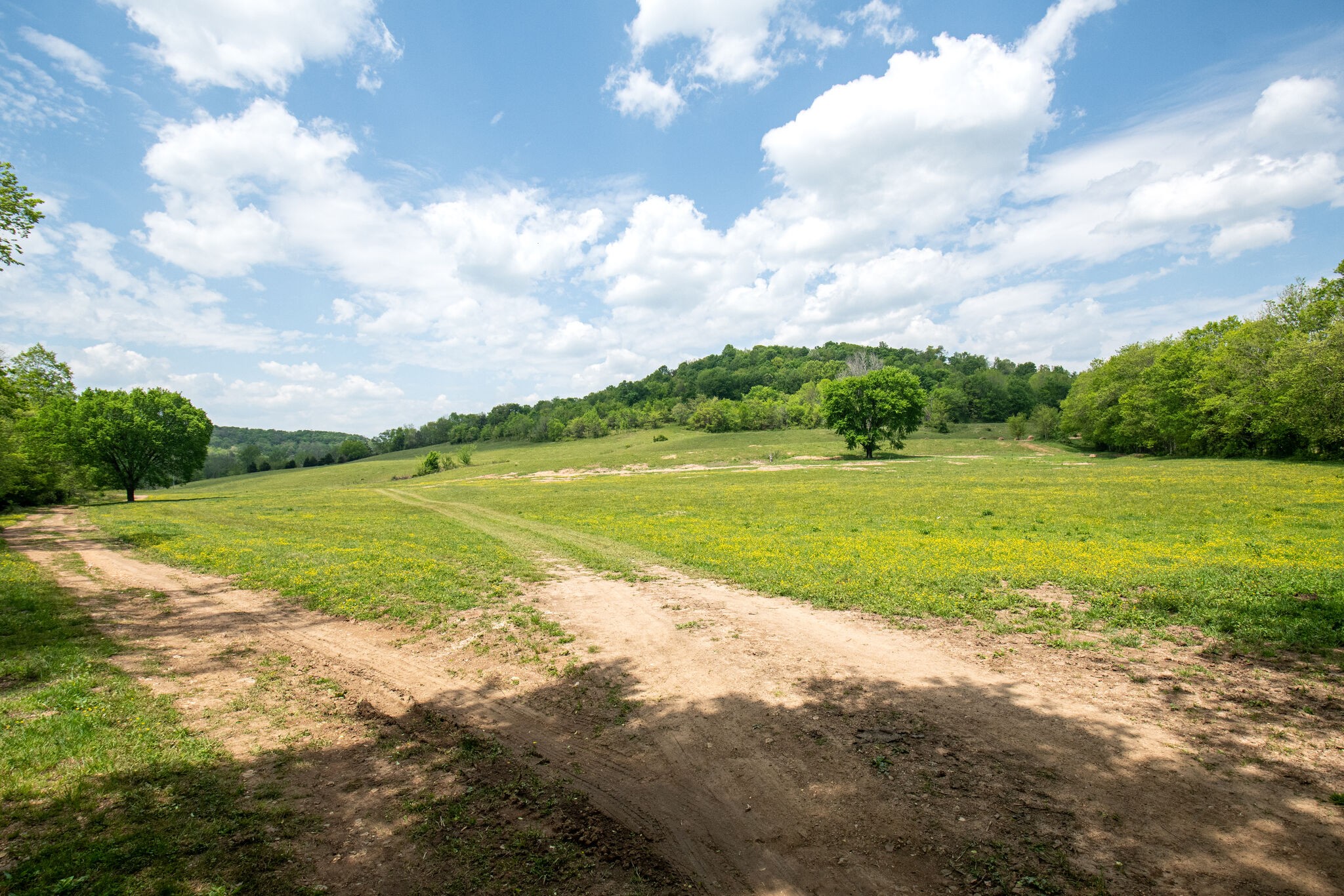 1845 Terrapin Branch Road Mount Pleasant, TN 38474 - Photo 9 of 39 Gallery Image 9