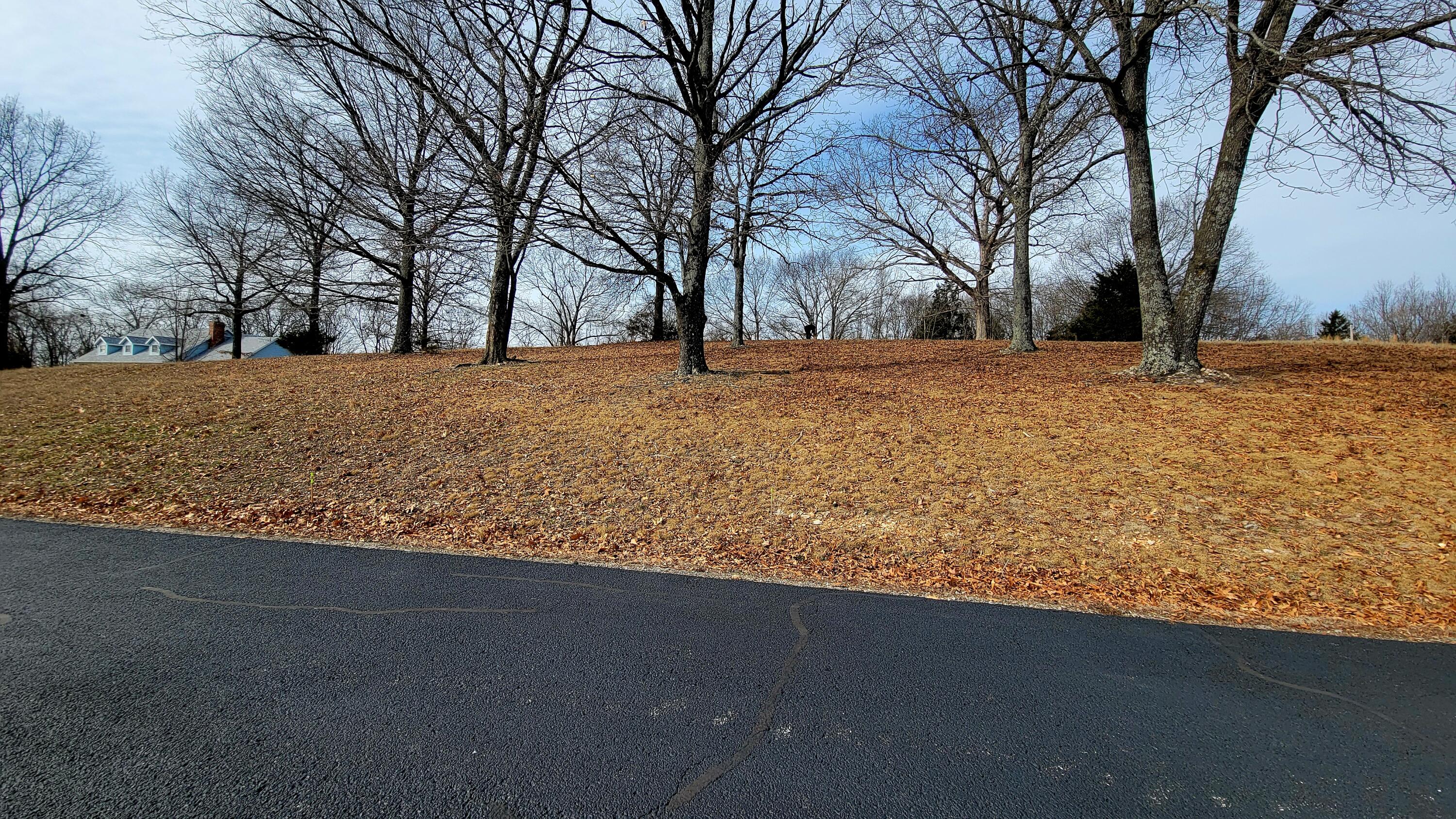 0 Eagle Ridge Lane Reeds Spring, MO 65737 - Photo 29 of 30 4