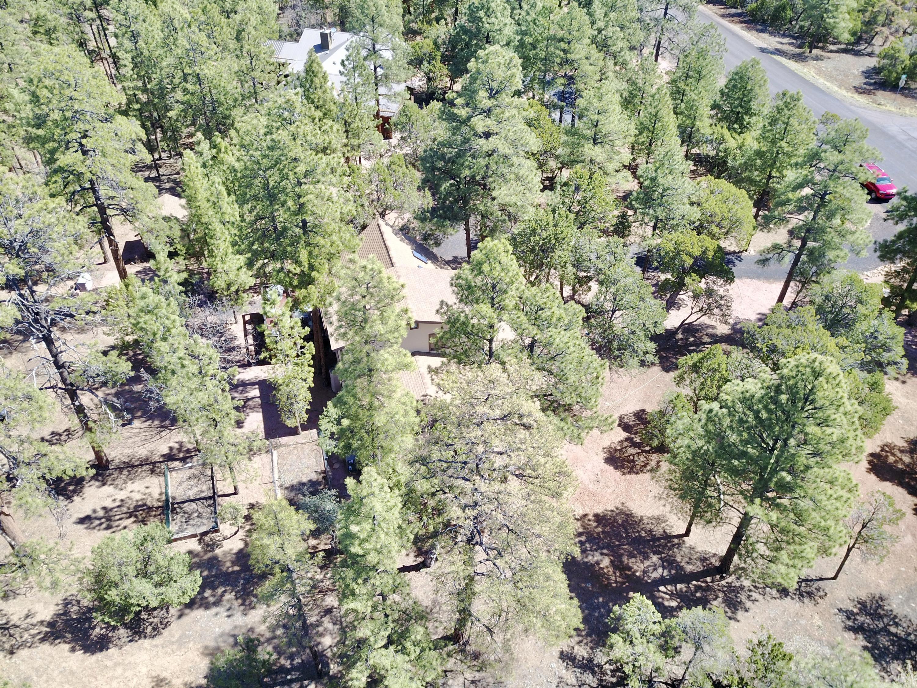 1502 Mainline Road Heber, AZ 85928 - Photo 39 of 60 Gallery Image 39