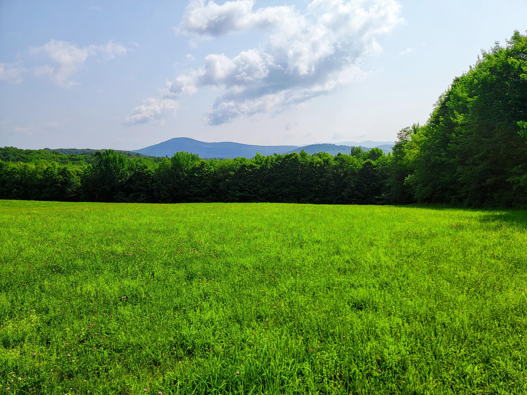 173 Foley Hill Road Groton, VT 05046 - Photo 10 of 40