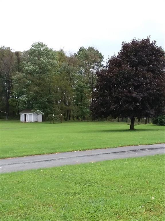 2519 South Ridge Road Shelocta, PA 15774 - Photo 3 of 24 SHED