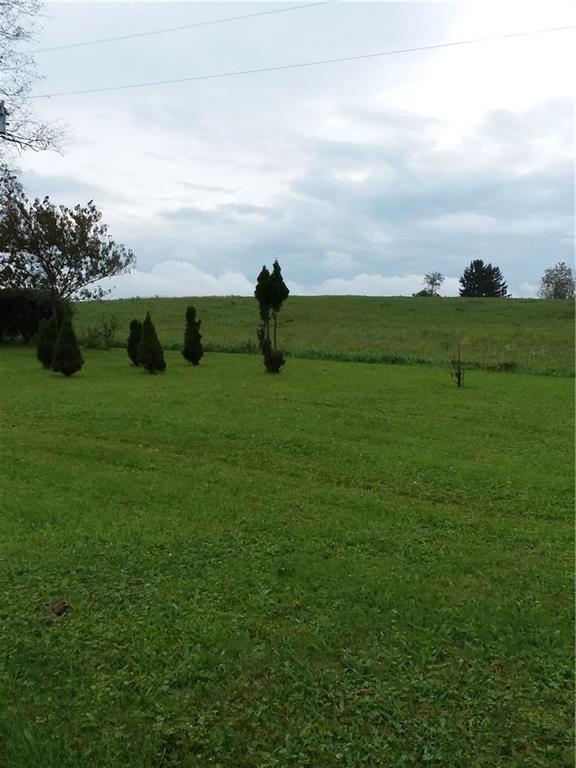 2519 South Ridge Road Shelocta, PA 15774 - Photo 4 of 24 GROUNDS