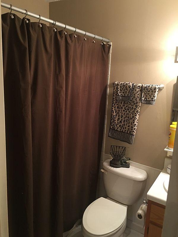 177 Mountain Cove Road Whitwell, TN 37397 - Photo 14 of 17 Mountain Cove master bath