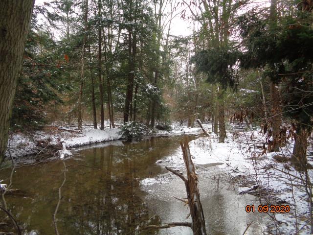 0 Sportsman Dam Road Reynoldsville, PA 15851 - Photo 1 of 14 a view of water with trees