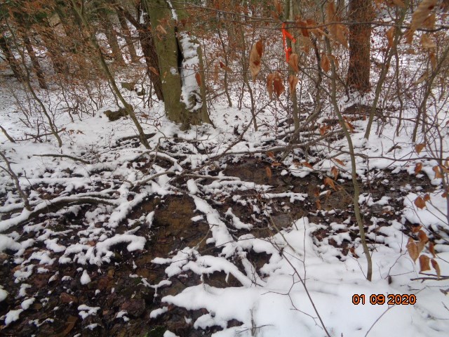 0 Sportsman Dam Road Reynoldsville, PA 15851 - Photo 12 of 14 a view of outdoor space with lots of trees