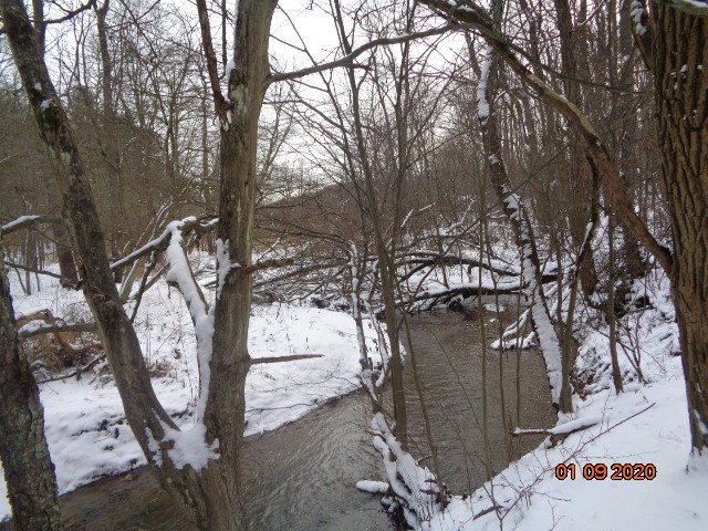 0 Sportsman Dam Road Reynoldsville, PA 15851 - Photo 13 of 14 a view of a tree in the snow