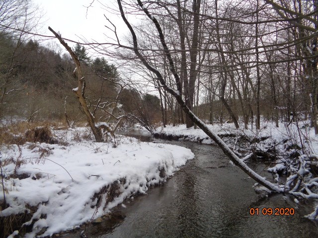 0 Sportsman Dam Road Reynoldsville, PA 15851 - Photo 14 of 14 a view of a snow on the road