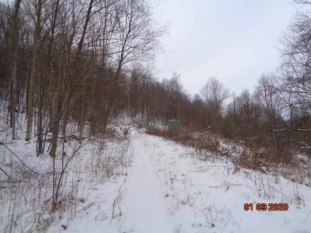 0 Sportsman Dam Road Reynoldsville, PA 15851 - Photo 4 of 14 a view of snow on the road