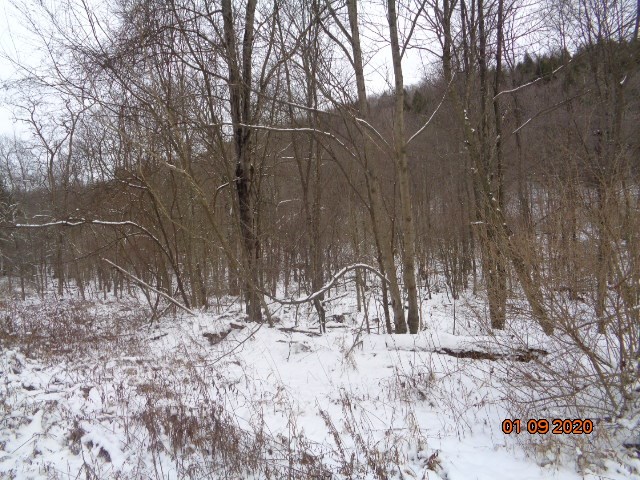 0 Sportsman Dam Road Reynoldsville, PA 15851 - Photo 5 of 14 a view of wooden fence of a house