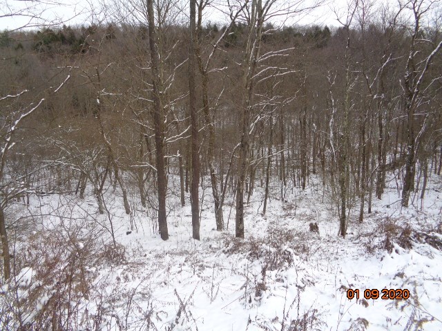 0 Sportsman Dam Road Reynoldsville, PA 15851 - Photo 7 of 14 a view of a yard covered in snow