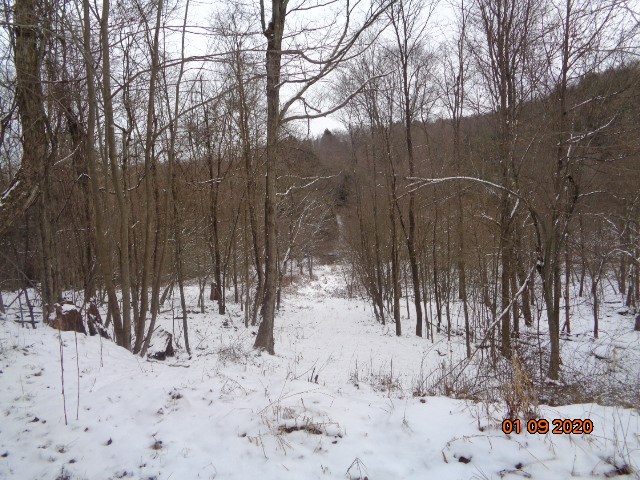 0 Sportsman Dam Road Reynoldsville, PA 15851 - Photo 9 of 14 a backyard of a house with trees and snow in the back