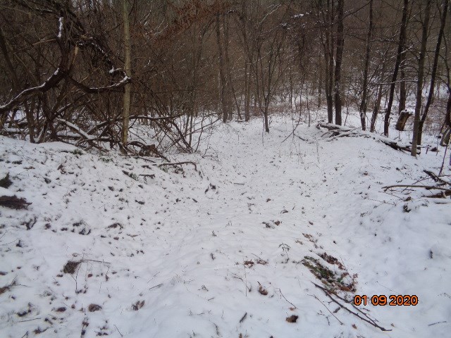 0 Sportsman Dam Road Reynoldsville, PA 15851 - Photo 10 of 14 a view of covered with snow
