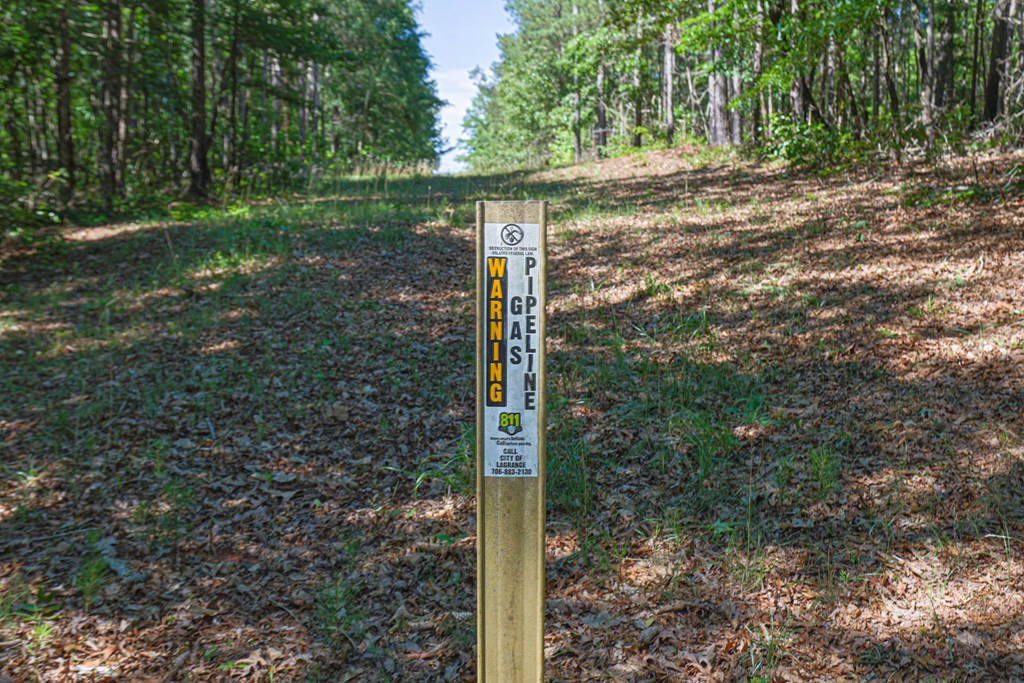 231 Lower Lovelace Road West Point, GA 31833 - Photo 21 of 49