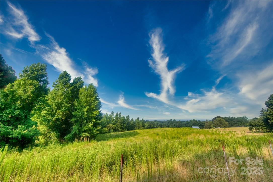 2083 Collinsville Road Columbus, NC 28722 - Photo 22 of 26 Gallery Image 22