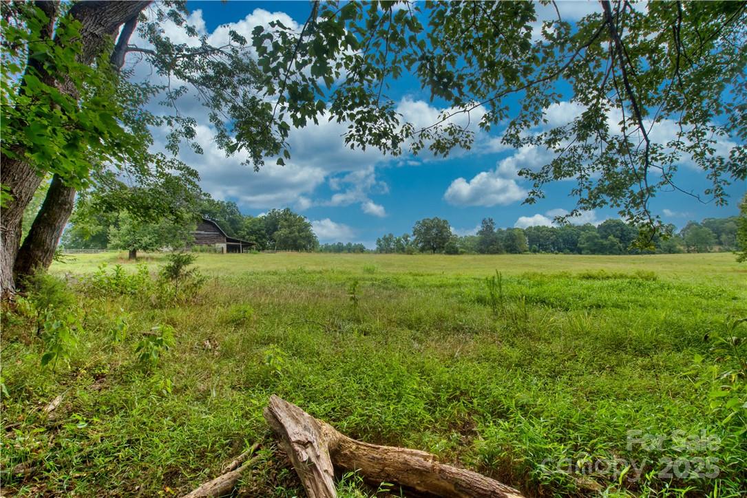 2083 Collinsville Road Columbus, NC 28722 - Photo 8 of 26 Gallery Image 8