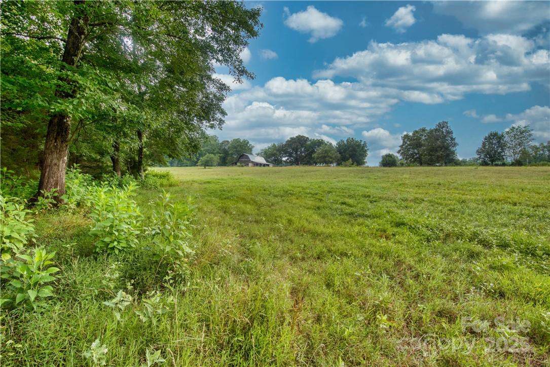 2083 Collinsville Road Columbus, NC 28722 - Photo 9 of 26 Gallery Image 9