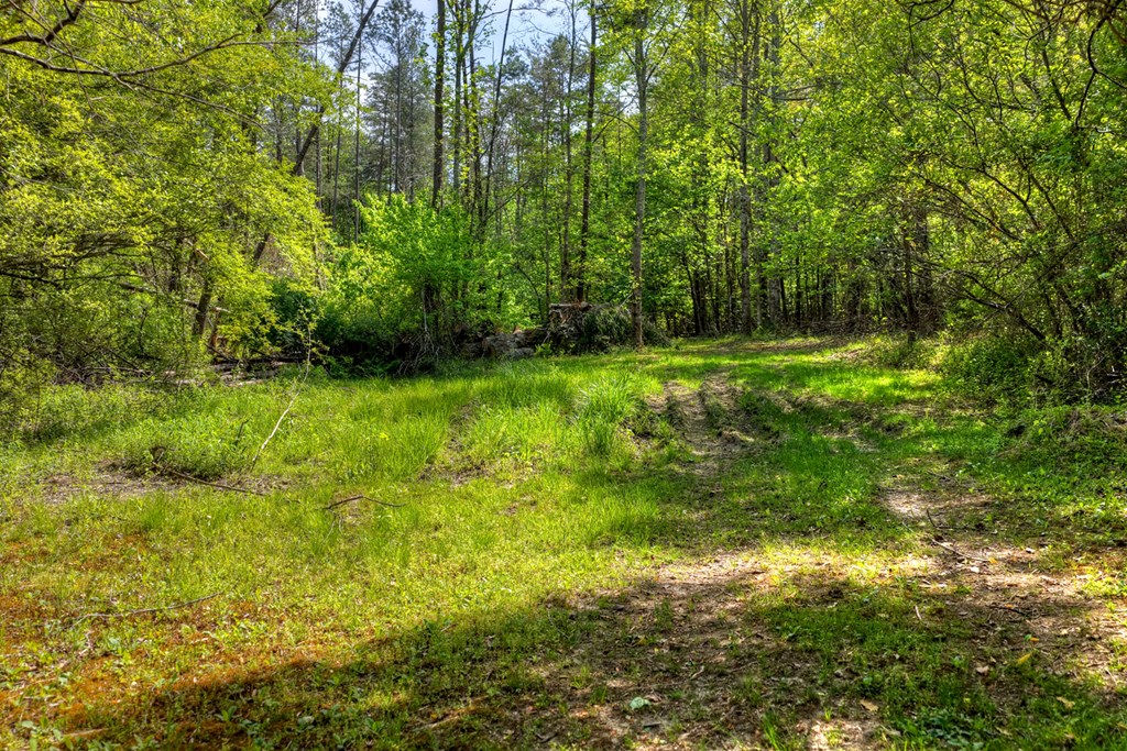 111 Candlewood Lane Blue Ridge, GA 30513 - Photo 11 of 57 a view of outdoor space and yard