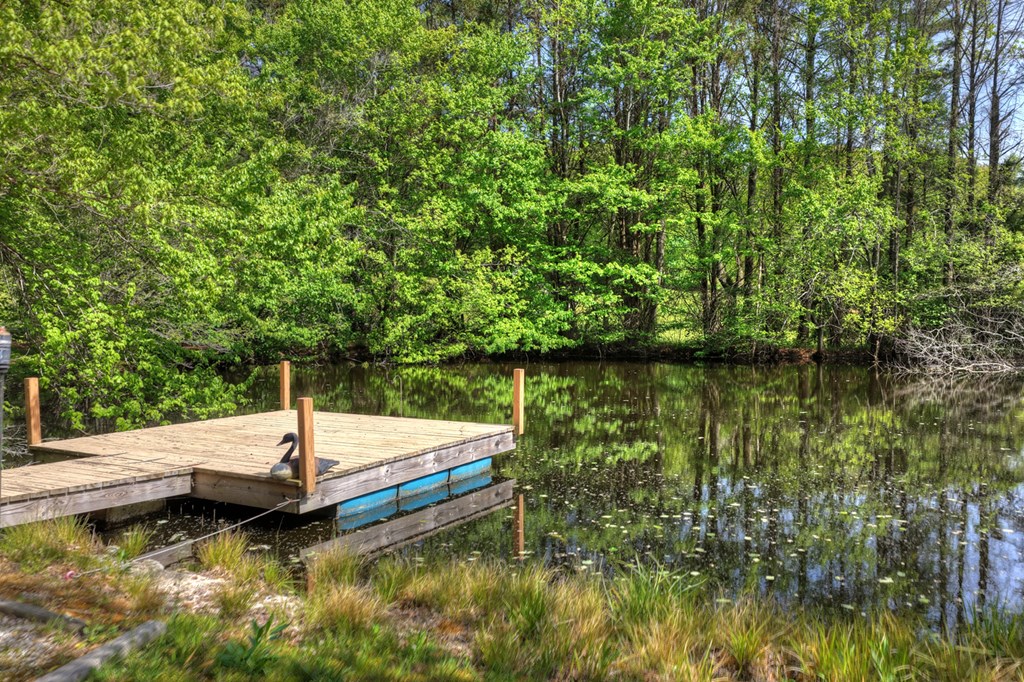 111 Candlewood Lane Blue Ridge, GA 30513 - Photo 24 of 57 a view of a lake with a large trees
