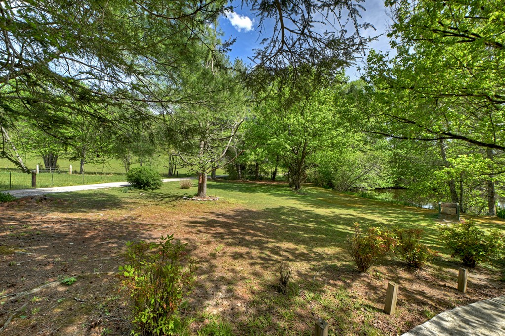 111 Candlewood Lane Blue Ridge, GA 30513 - Photo 26 of 57 a view of a tree in a yard