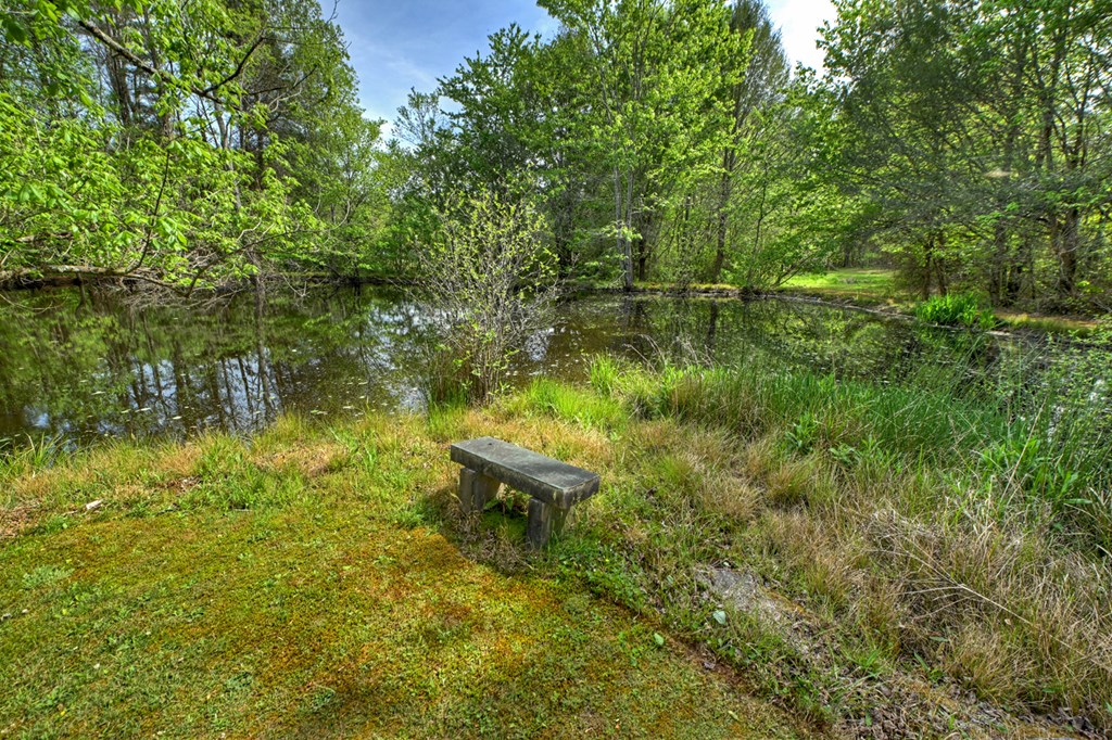 111 Candlewood Lane Blue Ridge, GA 30513 - Photo 33 of 57 a garden view with a bench