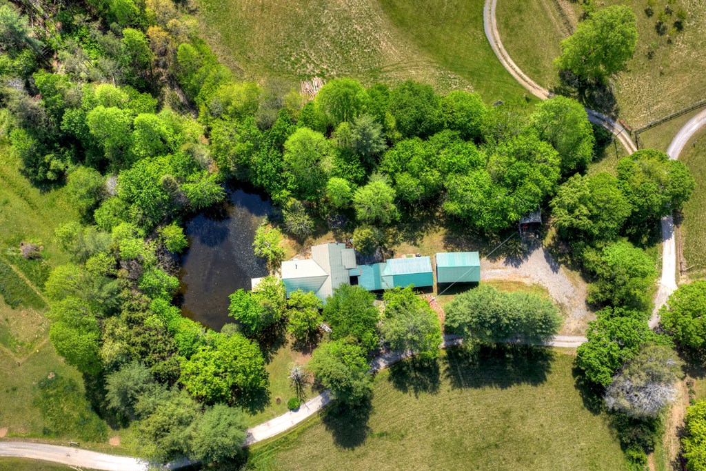 111 Candlewood Lane Blue Ridge, GA 30513 - Photo 5 of 57 an aerial view of residential house with outdoor space and trees all around