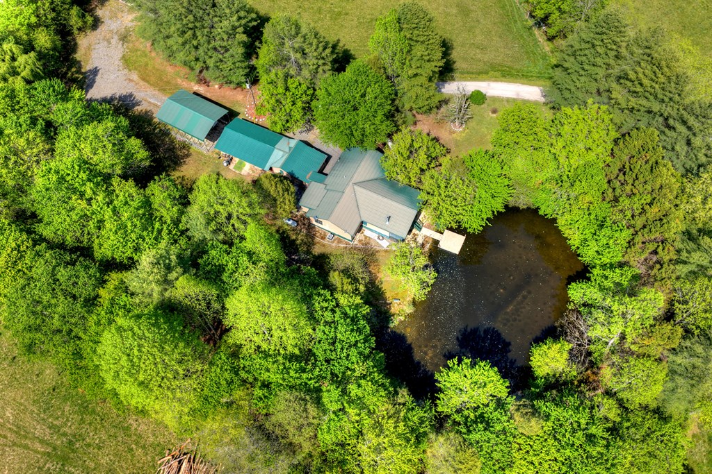 111 Candlewood Lane Blue Ridge, GA 30513 - Photo 8 of 57 an aerial view of a house with a yard and plants