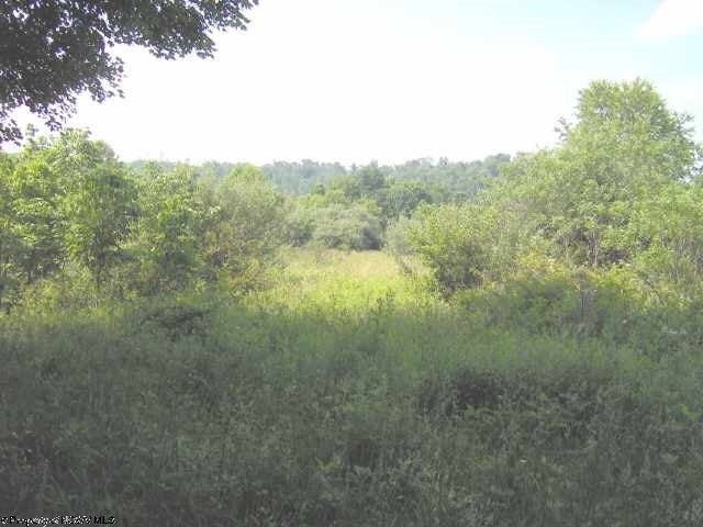 0 Spruce Fork Road Buckhannon, WV 26201 - Photo 3 of 15 Gallery Image 3