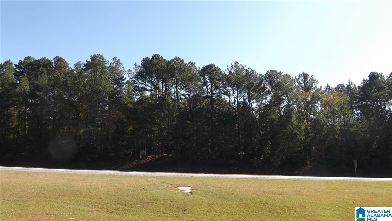 0 Highway 75, Unit 29 38 Oneonta, AL 35121 - Photo 29 of 30