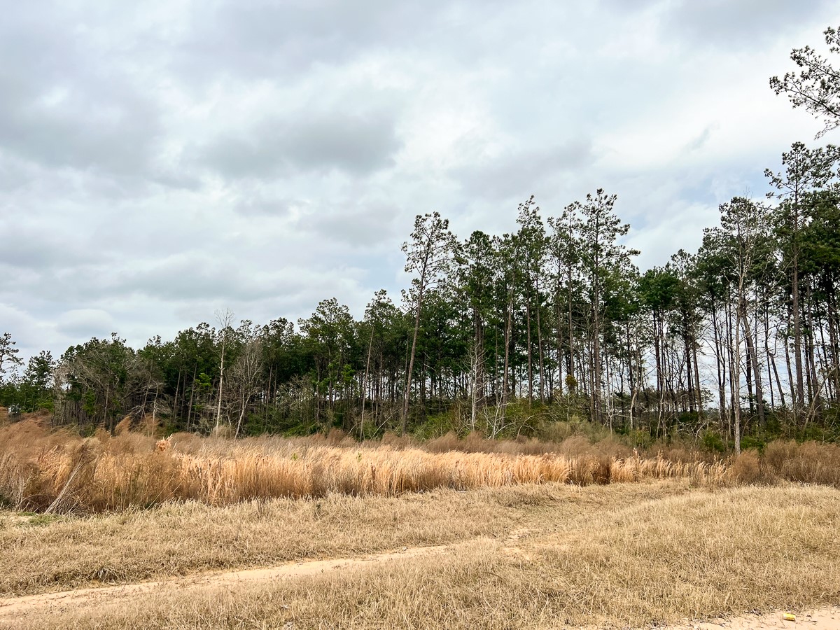 1 B Hardin Hideout Road Moscow, TX 75960 - Photo 7 of 14