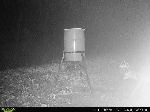 534 Whitney Branch Road Springville, TN 38256 - Photo 48 of 61 Gallery Image 48