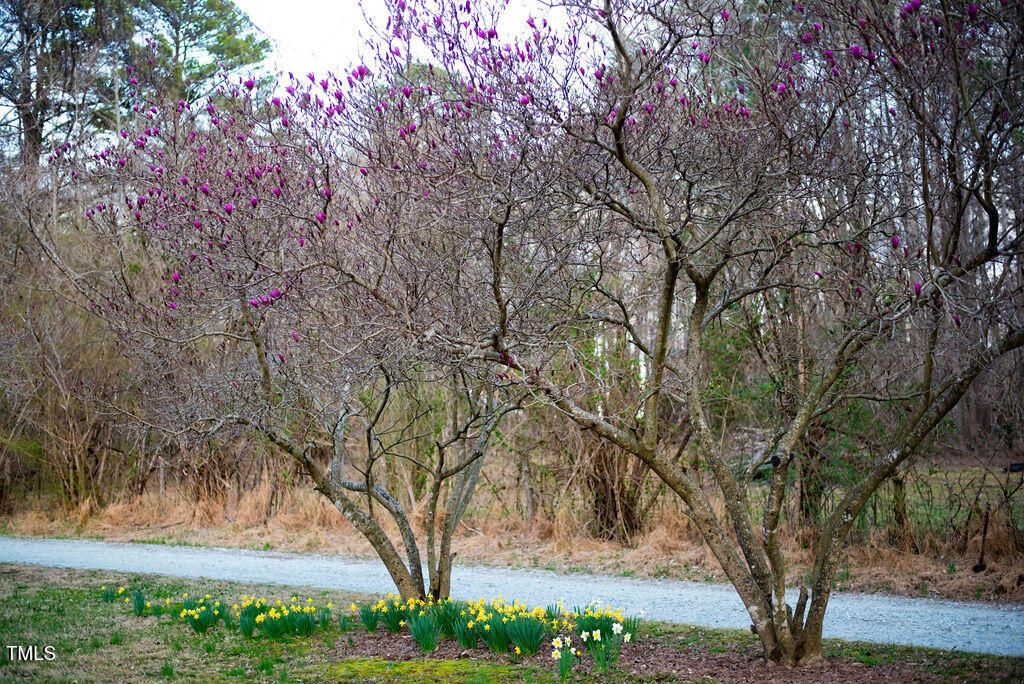 8717 Allison Road Cedar Grove, NC 27231 - Photo 75 of 86 DSC_2715