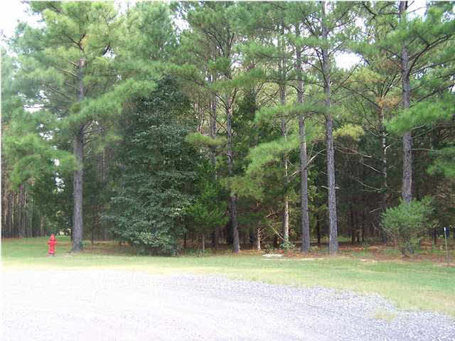 7 Anderson Street, Unit LOT 7 Flora, MS 39071 - Photo 1 of 1 Photo 1