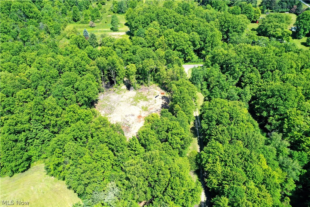 Mahan Denman Road Bristolville, OH 44402 - Photo 13 of 20