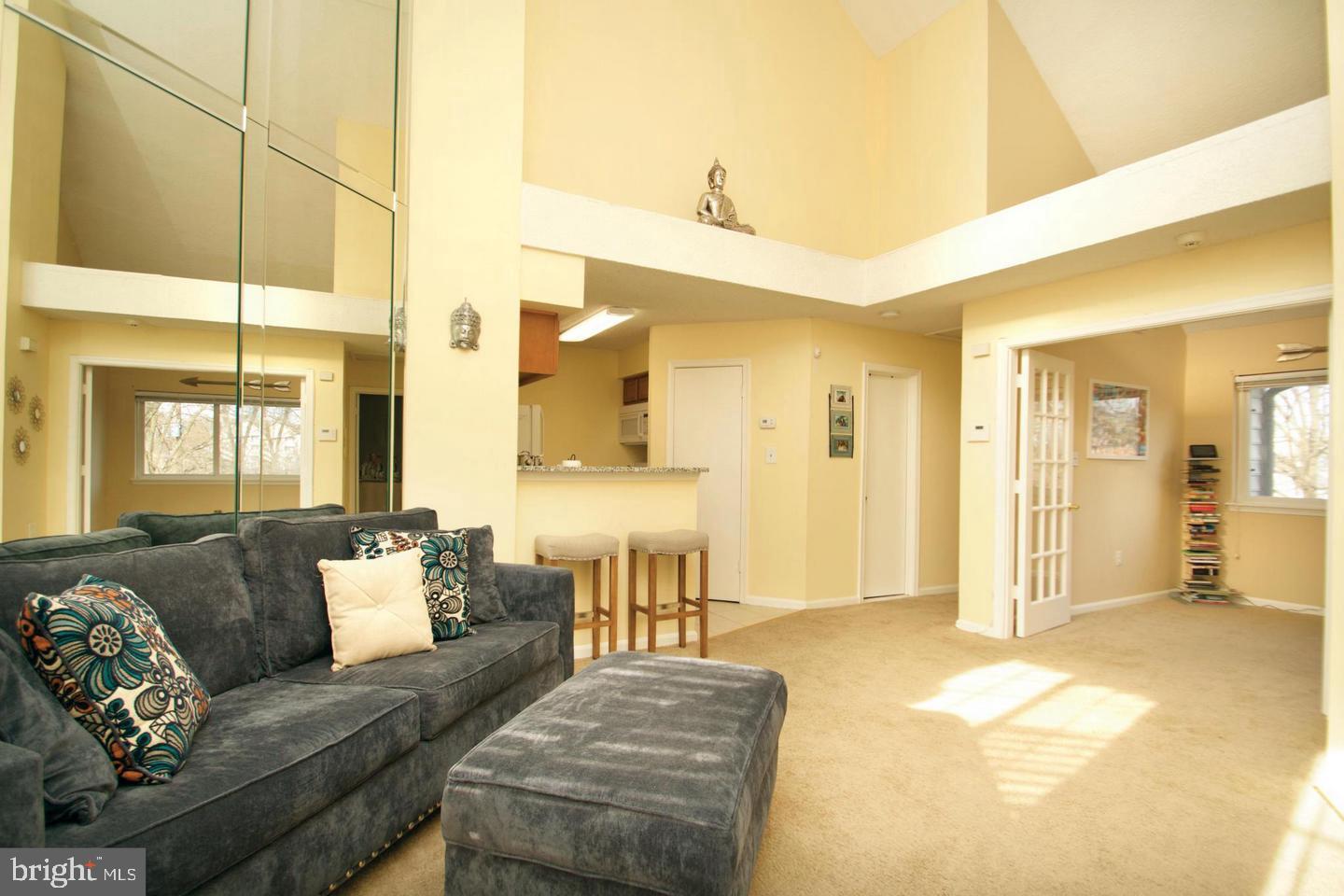 Sun-Filled Living Room; Vaulted Ceilings